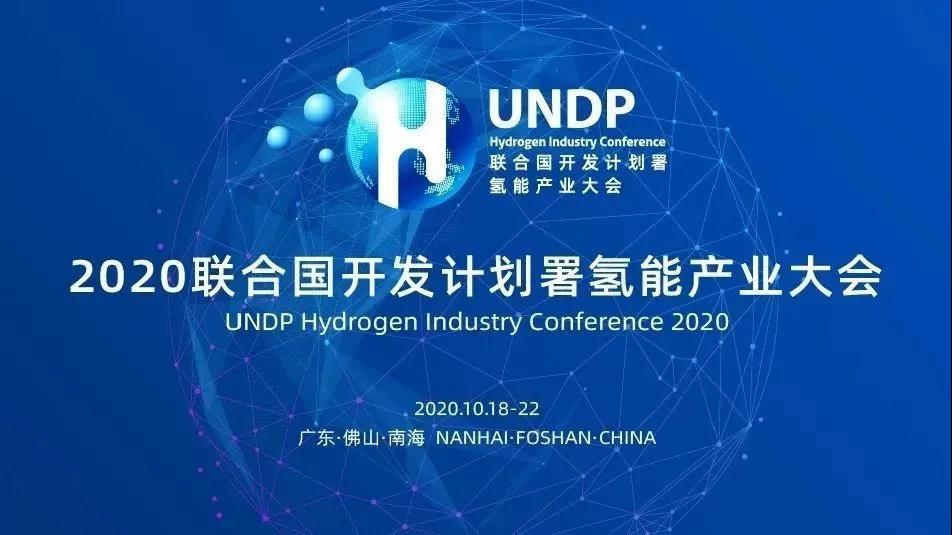 2020 联合国开发计划署氢能产业大会发展绿色氢能，提振世界经济